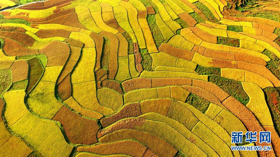 中國(guó)各地の美しい秋の景色