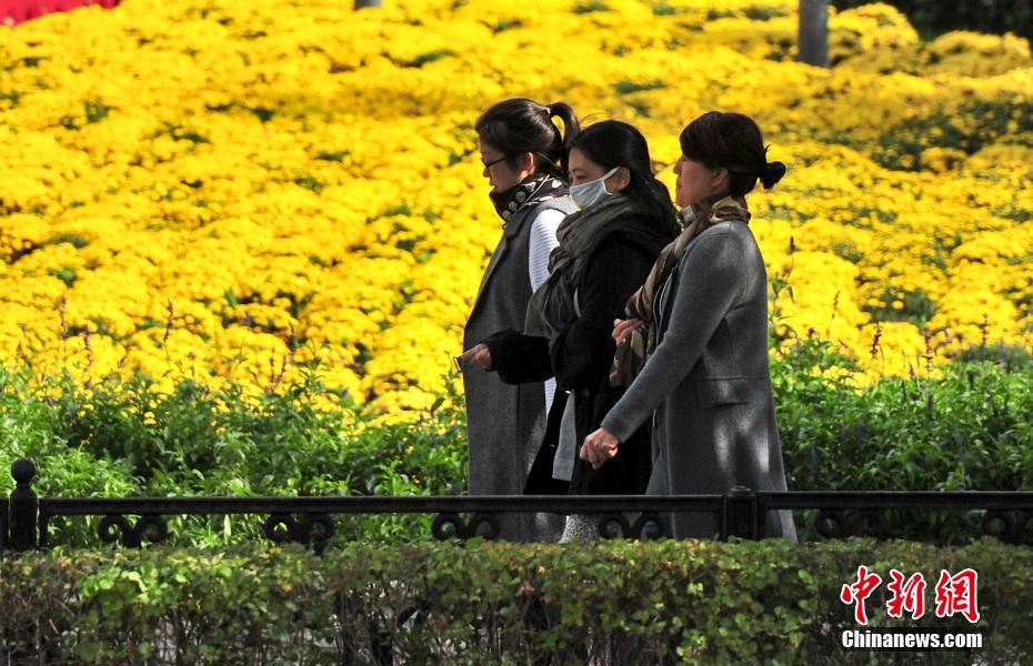 瀋陽で最低気溫0度に　街行く市民は秋の裝いに