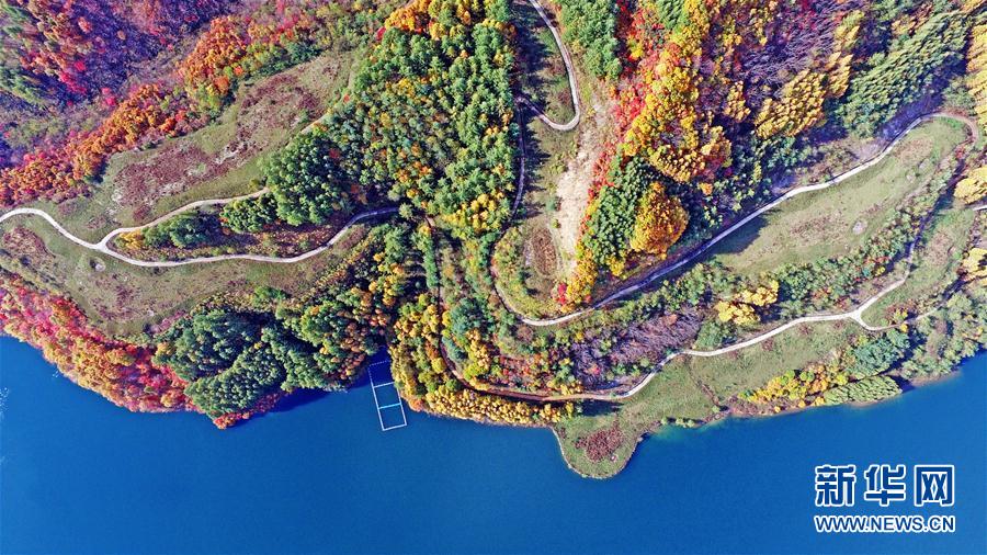 美しく鮮やかな紅葉　秋の彩り見せる遼寧の景勝地