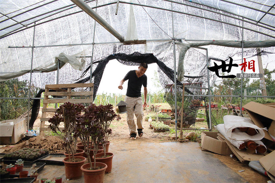 白鹿原に住む「多肉植物」専門の植木屋　西安市