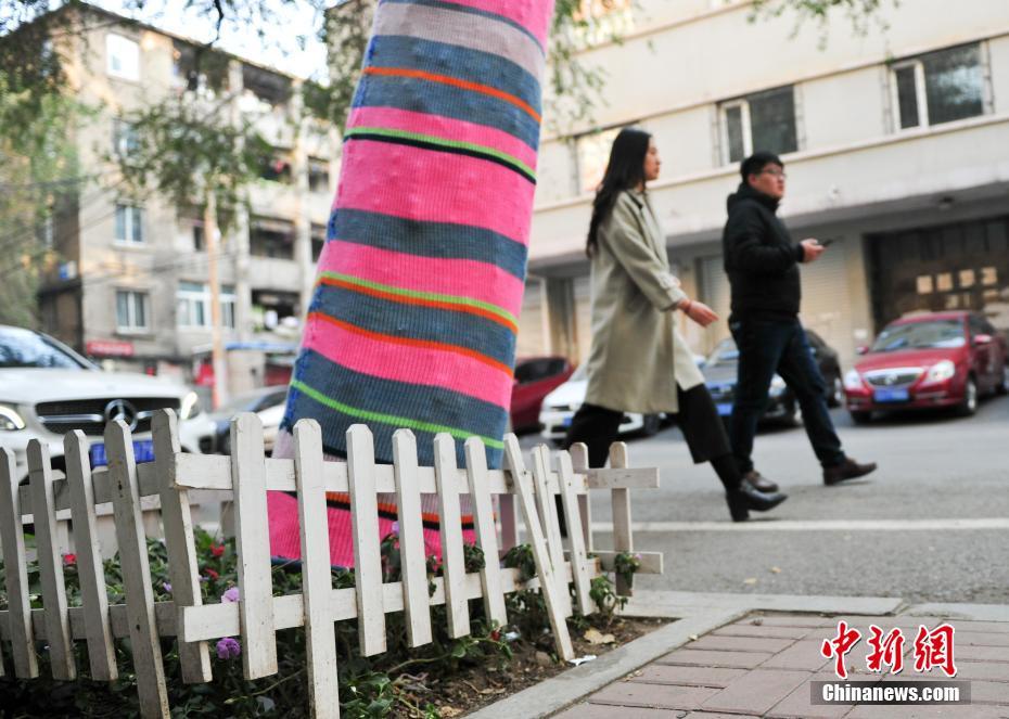 カラフルな「防寒服」を著た街路樹　遼寧省　