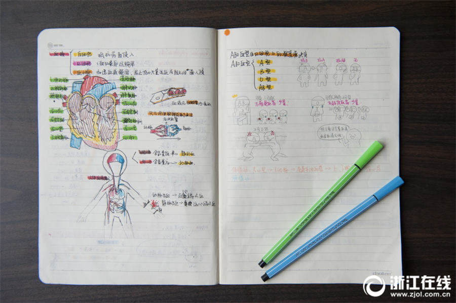 手描きの挿絵に説明文、女子中學(xué)生の科學(xué)のノートが話題に