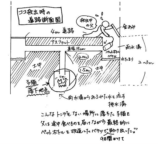 自作のペットボトルバケツで排水溝の奧に落下した子貓を救出　日本