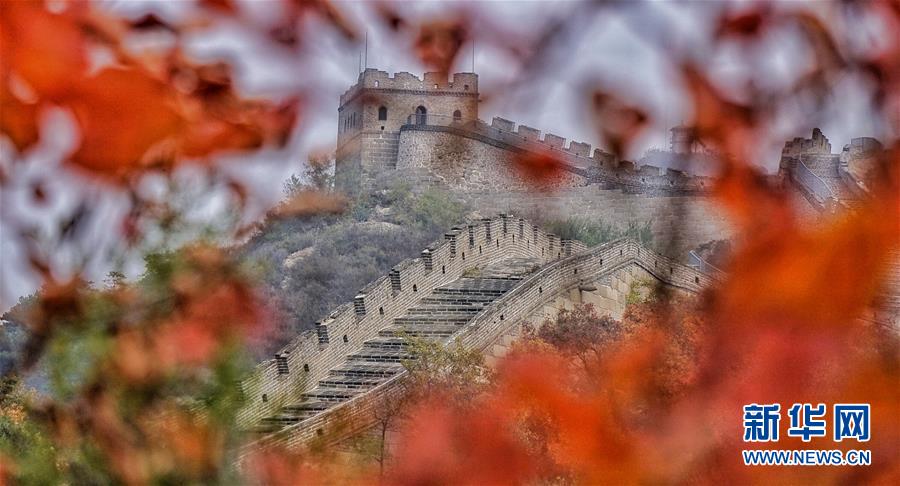 紅葉に彩られた美しい景色広がる八達(dá)嶺長城　