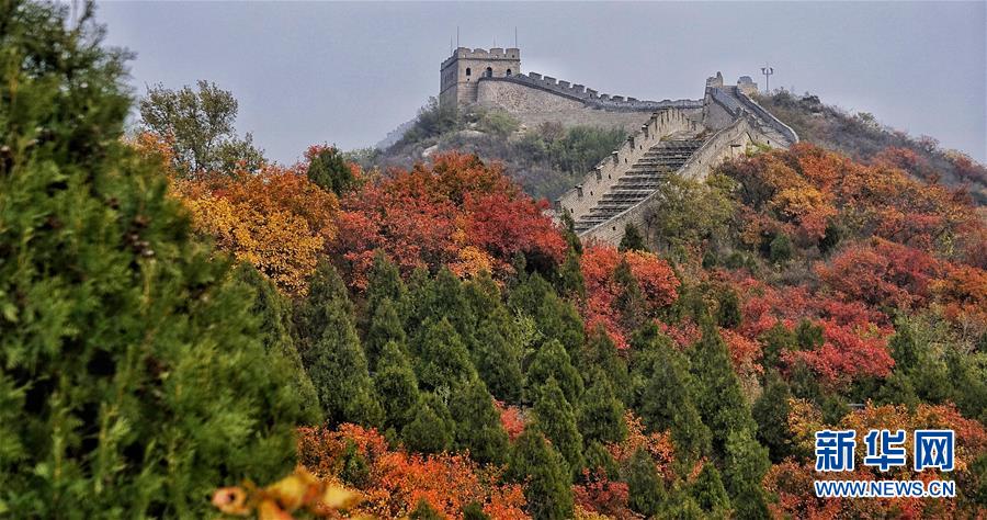 紅葉に彩られた美しい景色広がる八達嶺長城　