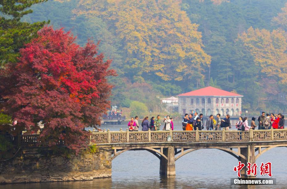 晩秋の廬山、真っ赤に色づく紅葉が一面に　江西省