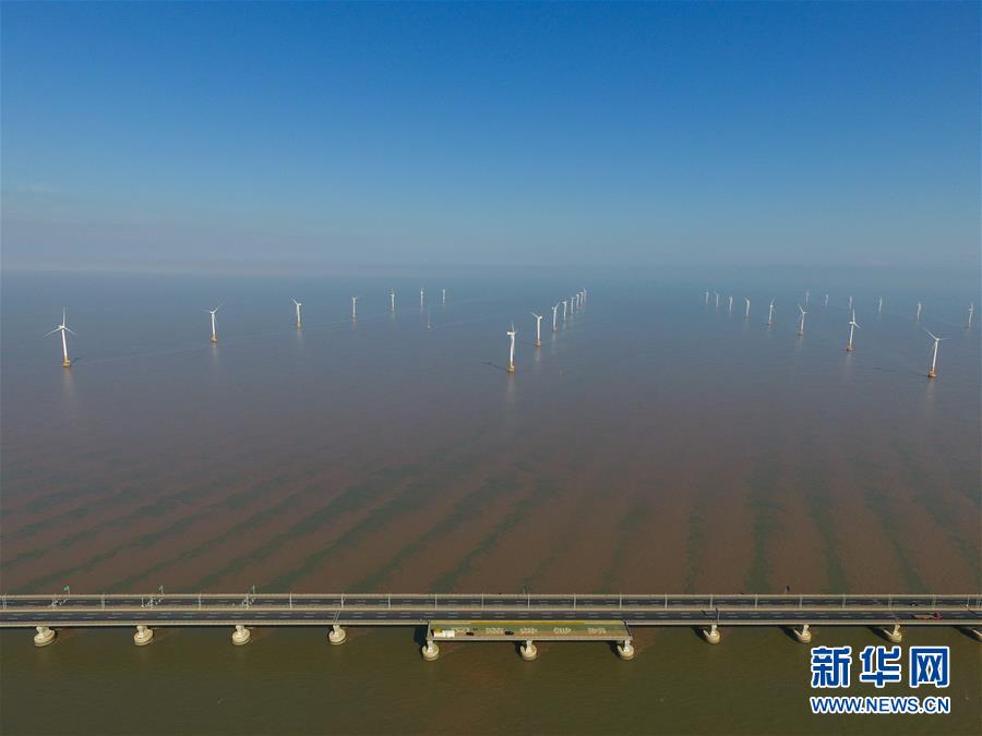 海上に立ち並ぶタービン　上海の東海大橋海上風(fēng)力発電所