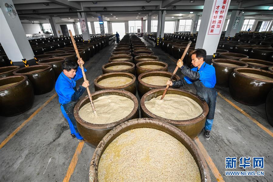 紹興酒の里で立冬に行われる冬の醸造作業(yè)　浙江省