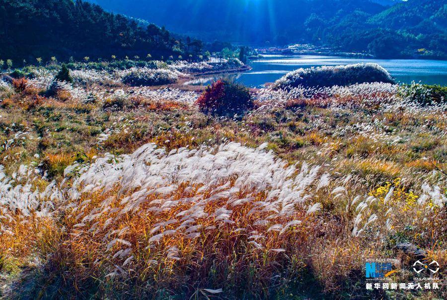 秋深まる黃柏山景勝地　色鮮やかな木々が描く美しい風(fēng)景