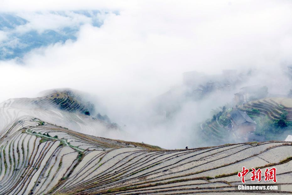 雲(yún)霧渦巻く竜脊棚田の幻想的な風(fēng)景　広西壯（チワン）族自治區(qū)