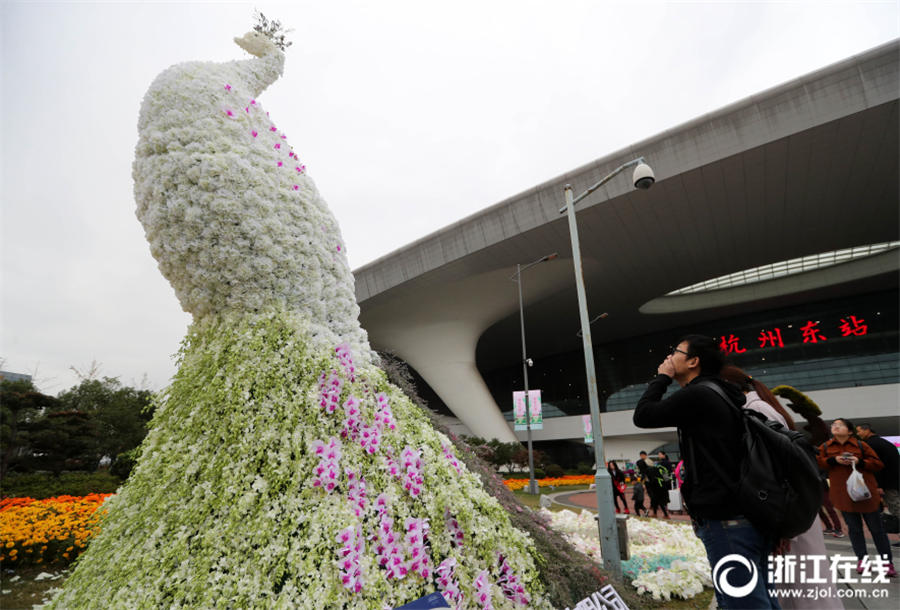 花々の海に迷い込んだような美しさ　杭州「都市の花フェスティバル」