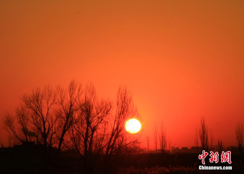 初冬、夜明けの太陽(yáng)に赤く染まるゴビ濕地　甘粛省