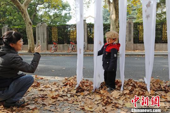 上海市の街中に落ち葉アートスポット登場(chǎng)