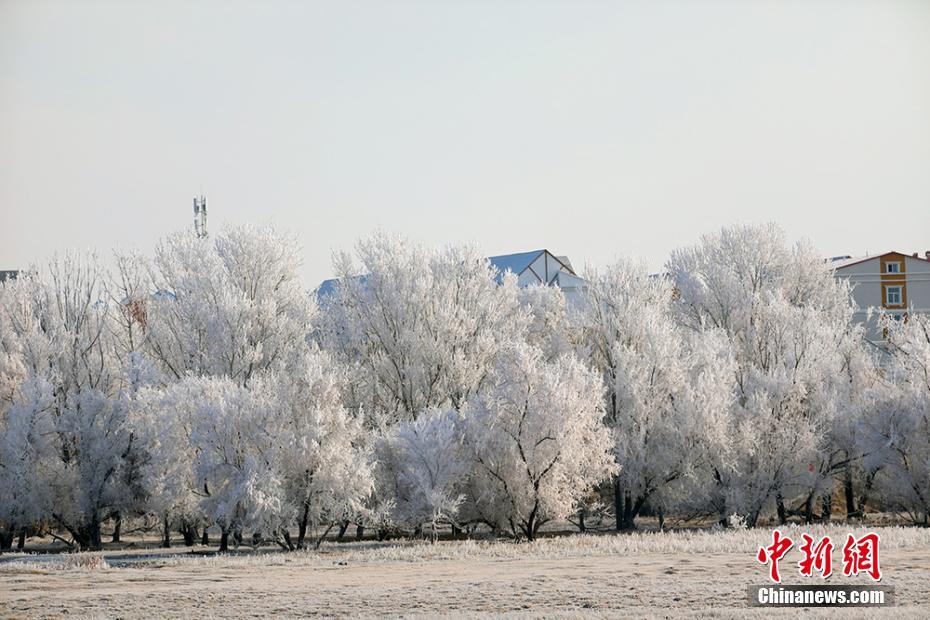 幻想的で美しい樹氷景色広がる新疆カバ県