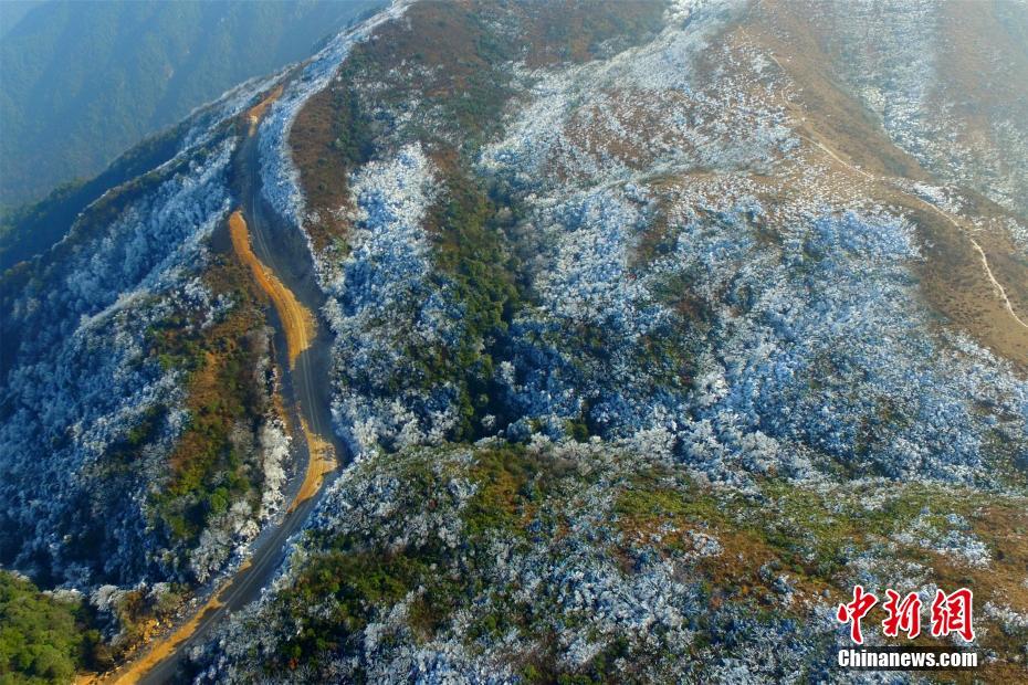 山肌一面に広がる幻想的な樹(shù)氷　江西省石城県八卦脳景勝區(qū)