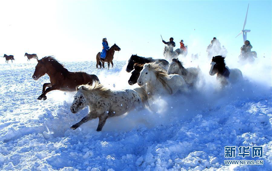 雪原で馬馴らしをする牧畜民　 冬季観光シーズンの內(nèi)蒙古