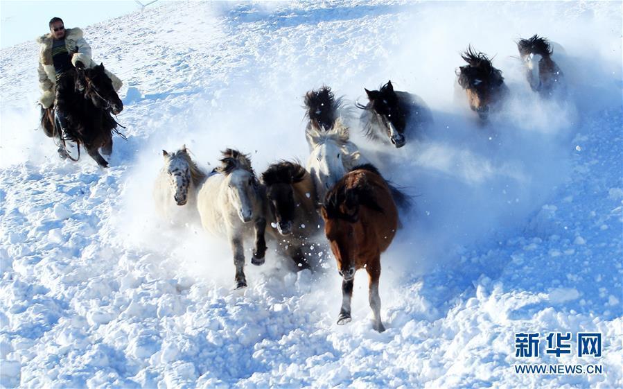 雪原で馬馴らしをする牧畜民　 冬季観光シーズンの內(nèi)蒙古