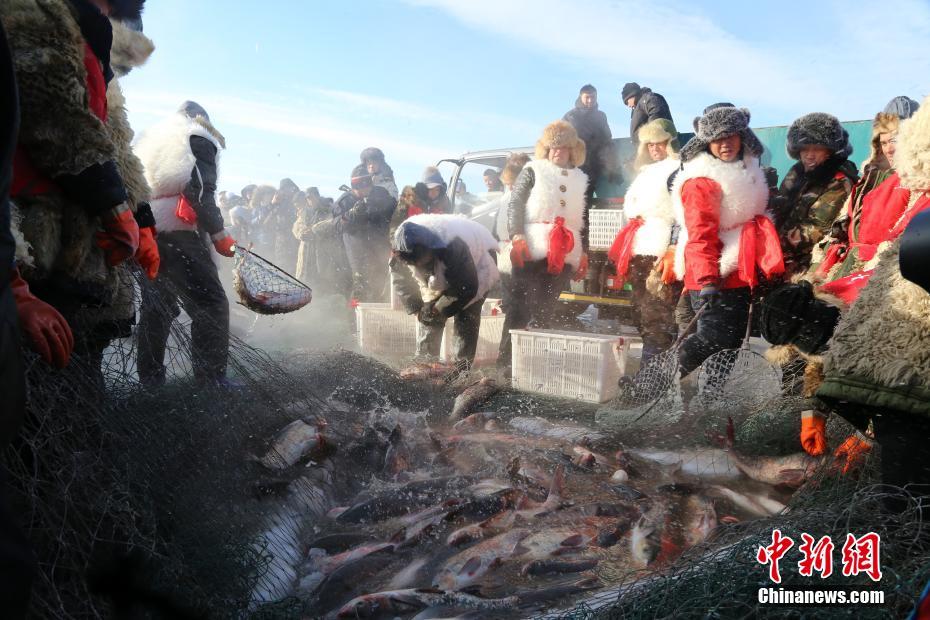 漁獲量はなんと4萬キロ！冬の魚捕りイベント　黒竜江五大連池景勝地