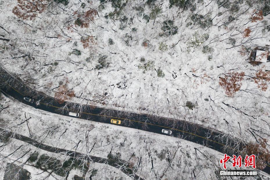 大雪後の南京の町並み まるで絵のよう