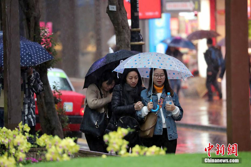 香港地區(qū)気溫低下で気象庁から寒冷警報発令