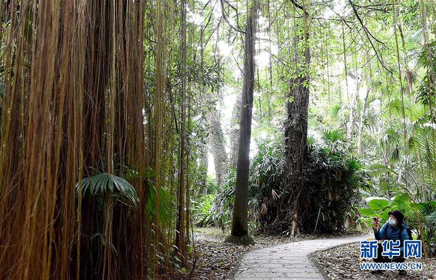 臺北植物園でゆったりとしたひと時を過ごす　臺灣地區(qū)