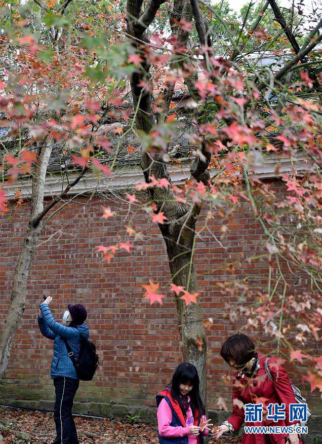 臺(tái)北植物園でゆったりとしたひと時(shí)を過(guò)ごす　臺(tái)灣地區(qū)