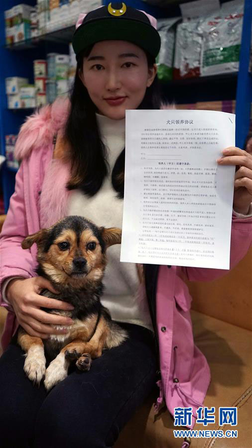 江西省南昌市で初の野良犬引取り窓口開(kāi)設(shè)