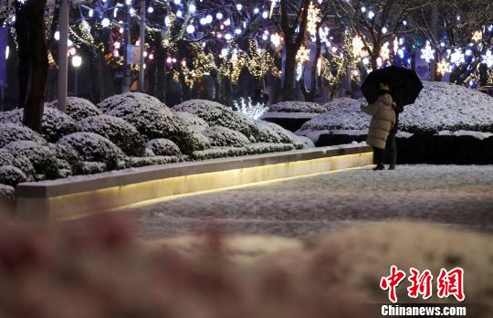 上海で今年初の降雪　市內(nèi)は北國のような雪景色に