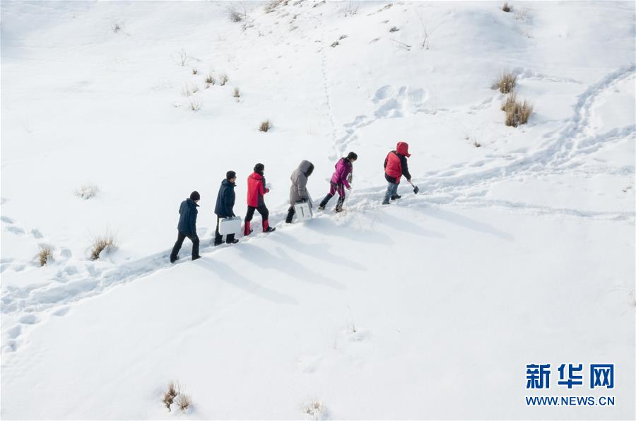 中國(guó)科學(xué)院が天山中腹の積雪の特徴を調(diào)査