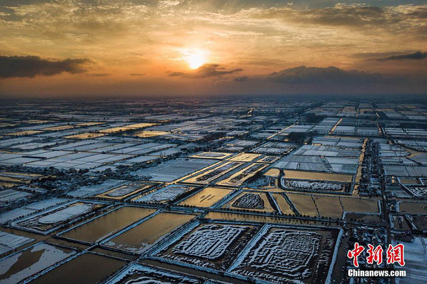 江蘇?南通白甸　降雪後に魅力的な景観