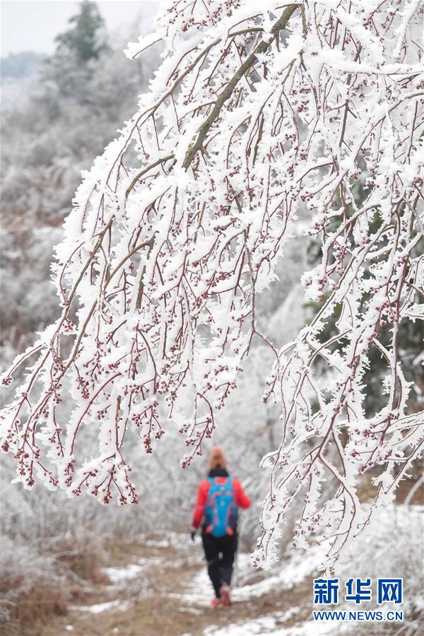 白銀の美しい景色広がる　貴州省雲(yún)霧山の雪景色