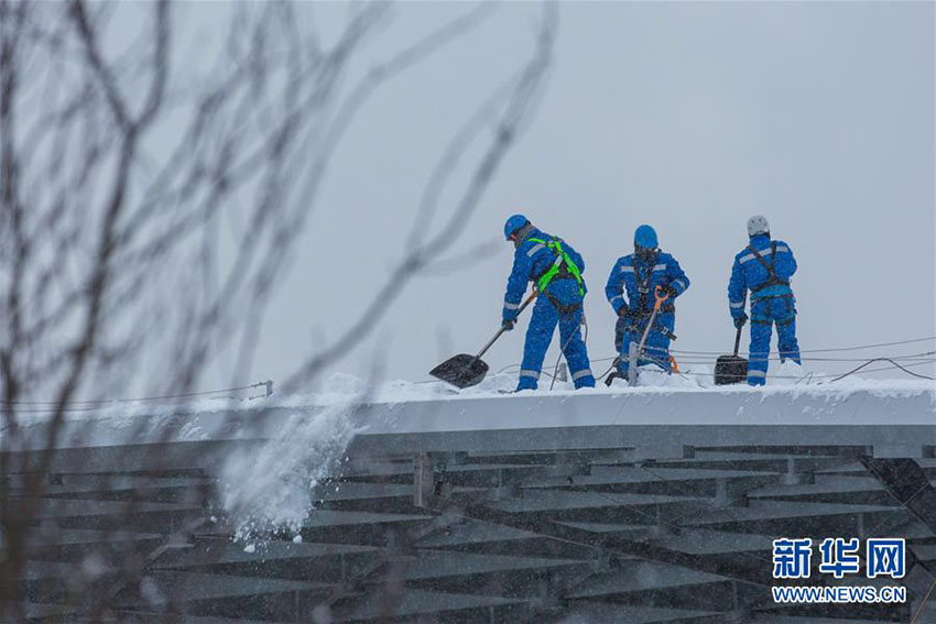 モスクワで連日の大雪　州知事が緊急作業(yè)モードを発令