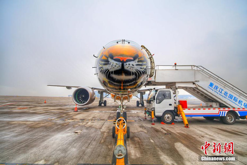 トラがペイントされたブラジル航空の旅客機、重慶の空港に著陸