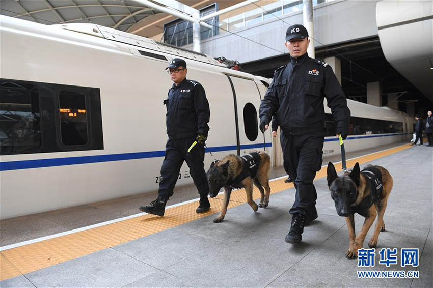 春運(yùn)期間中の旅客の安全を守る　石家荘駅でパトロールにあたる警察犬