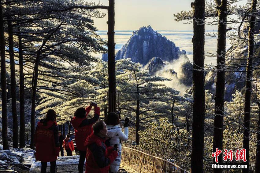 安徽省の黃山に広がる雲(yún)海　美しい光景に魅了される観光客たち