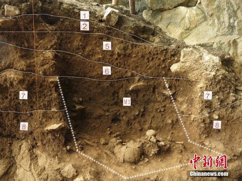 広西壯族自治區(qū)で1萬6千年前の人類の頭蓋骨化石を発見