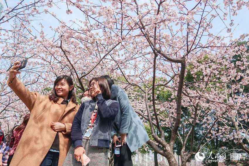 春の花々が開(kāi)花した靜安雕塑公園　多くの上海市民が押し寄せる