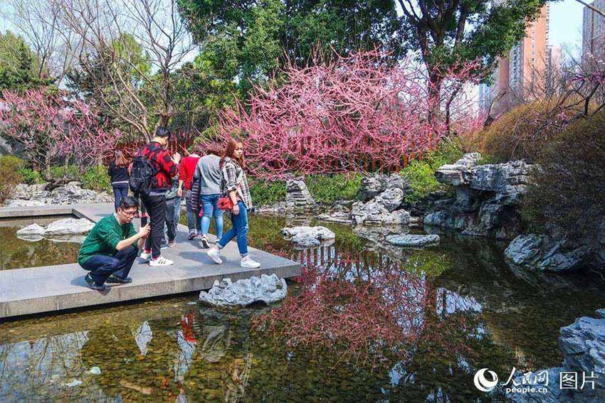 春の花々が開花した靜安雕塑公園　多くの上海市民が押し寄せる