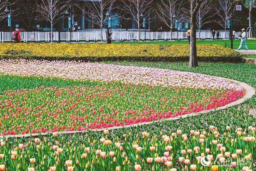 春の花々が開花した靜安雕塑公園　多くの上海市民が押し寄せる