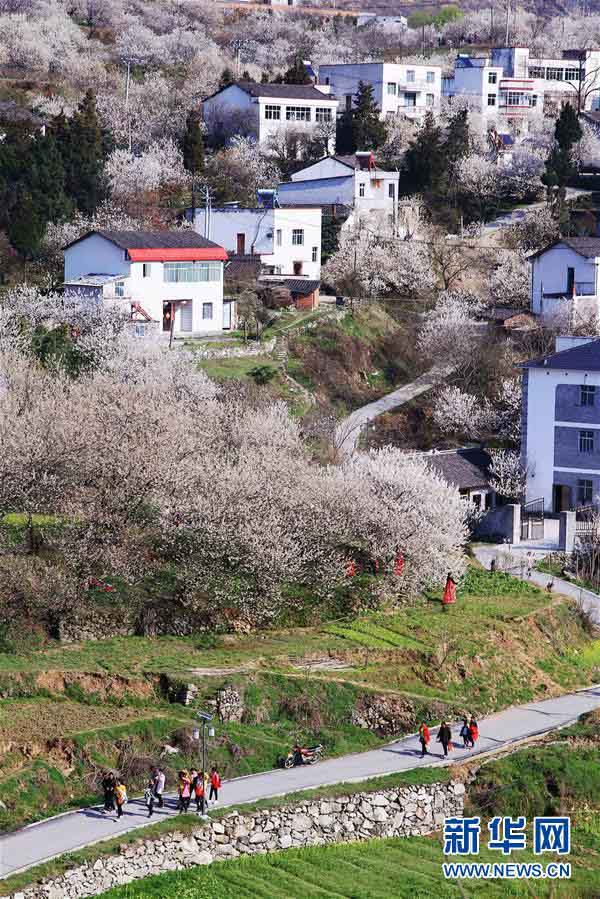 中國各地でぽかぽか陽気　春の景色を楽しむ観光客たち