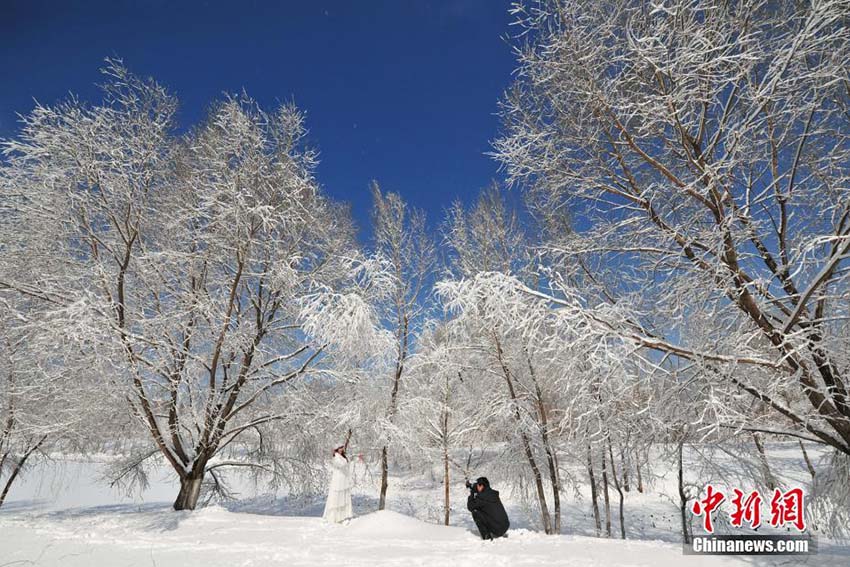 白い雪と青空が織りなす美しい景色　美しい雪景色を堪能する瀋陽市民