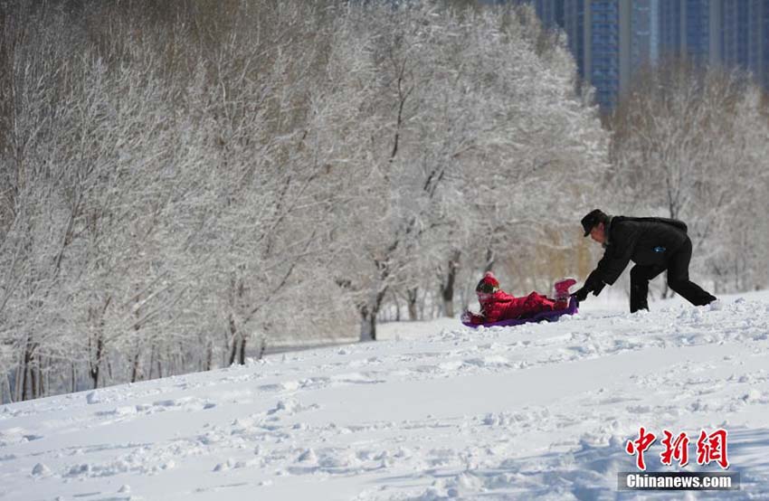 白い雪と青空が織りなす美しい景色　美しい雪景色を堪能する瀋陽市民