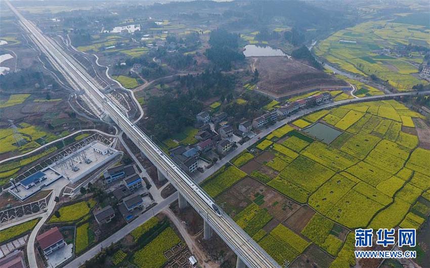 菜の花咲き誇る四川省江油市　花畑を走り抜ける高速鉄道