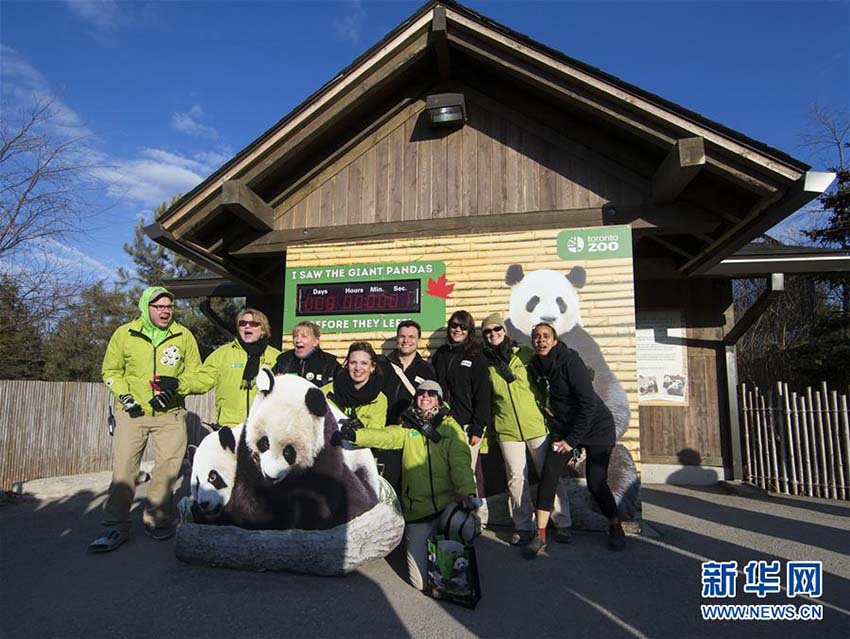 カナダのトロント動(dòng)物園で最後のパンダ一般公開