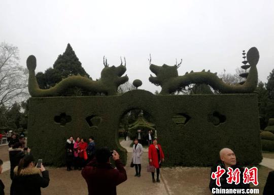 いろんな動物をかたどった松の木アート　河南省の淮陽獨秀園