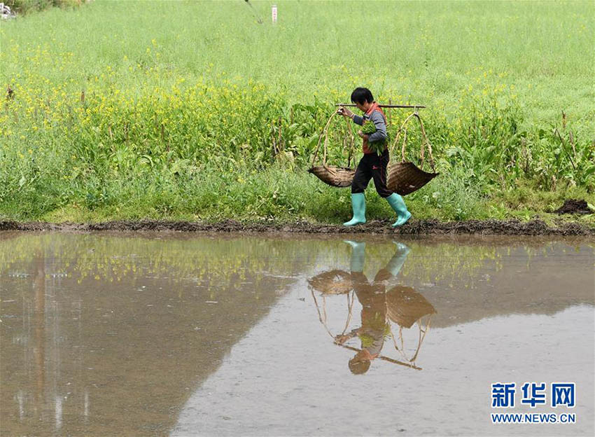 春分到來(lái)　春の繁忙期に突入する中國(guó)各地の農(nóng)家