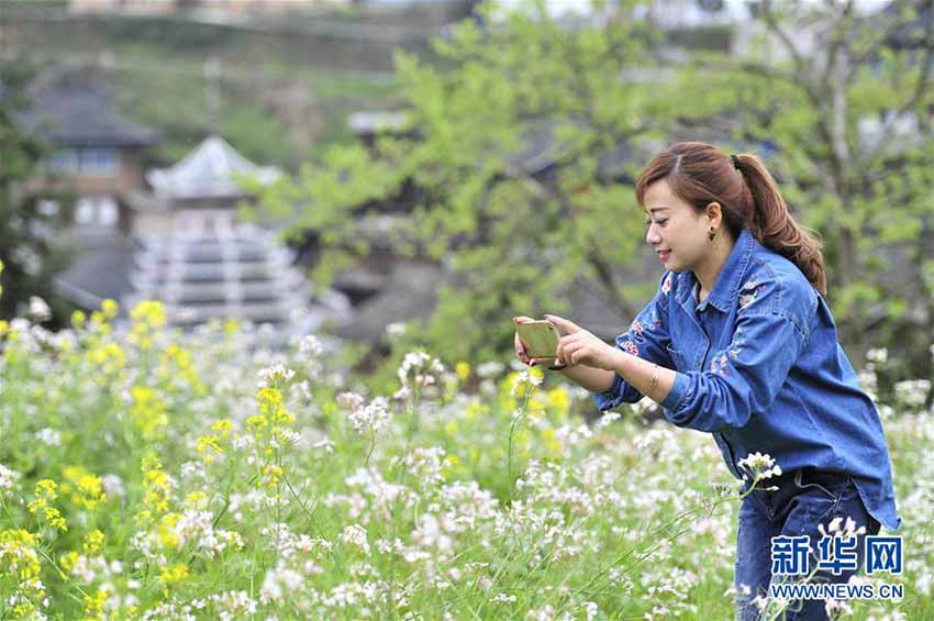 咲き誇る花々　中國(guó)各地に広がる春の景色