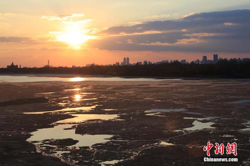 気溫上昇でハルビン市の松花江の氷溶ける　黒竜江省