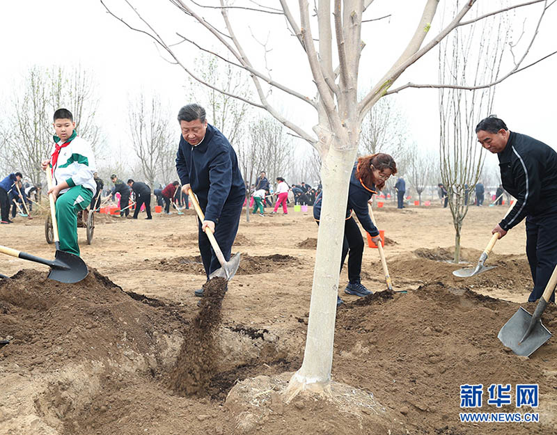 人々と共に植樹を行う習(xí)近平國家主席（4月2日、撮影?謝環(huán)馳）。