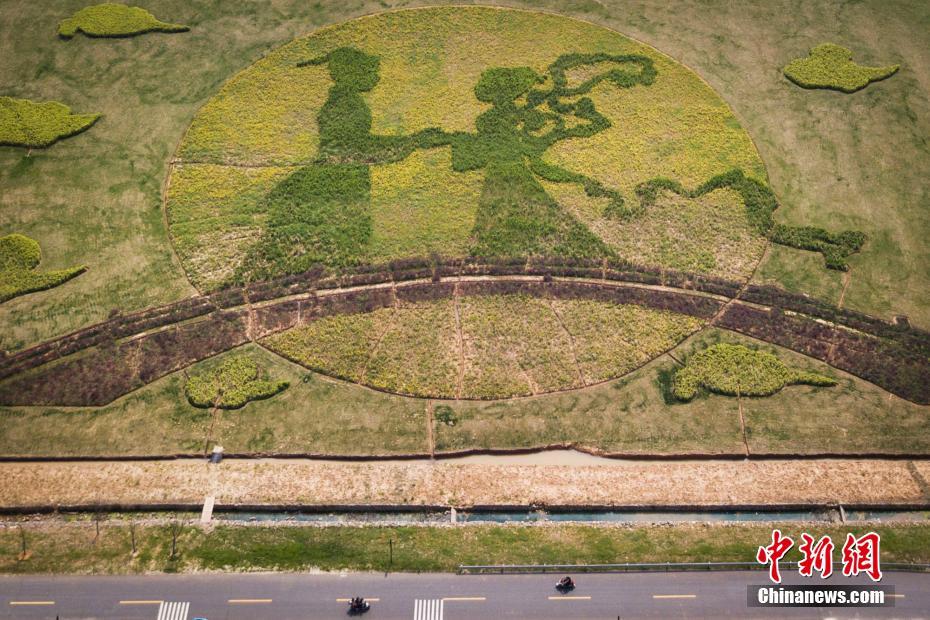 南京市に民間説話の名場面テーマにした田んぼアート出現(xiàn)